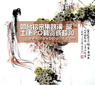 郭台铭密集路演 富士康IPO募资或超300亿‘b体育’(图1) b体育官网