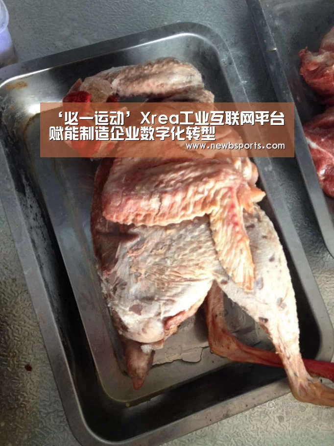 ‘必一运动’Xrea工业互联网平台赋能制造企业数字化转型(图2) 必一运动